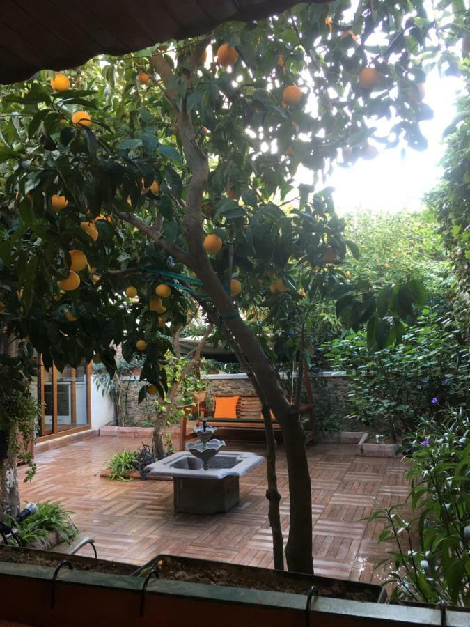 Ferienwohnung Orange Garden Antalya Exterior foto